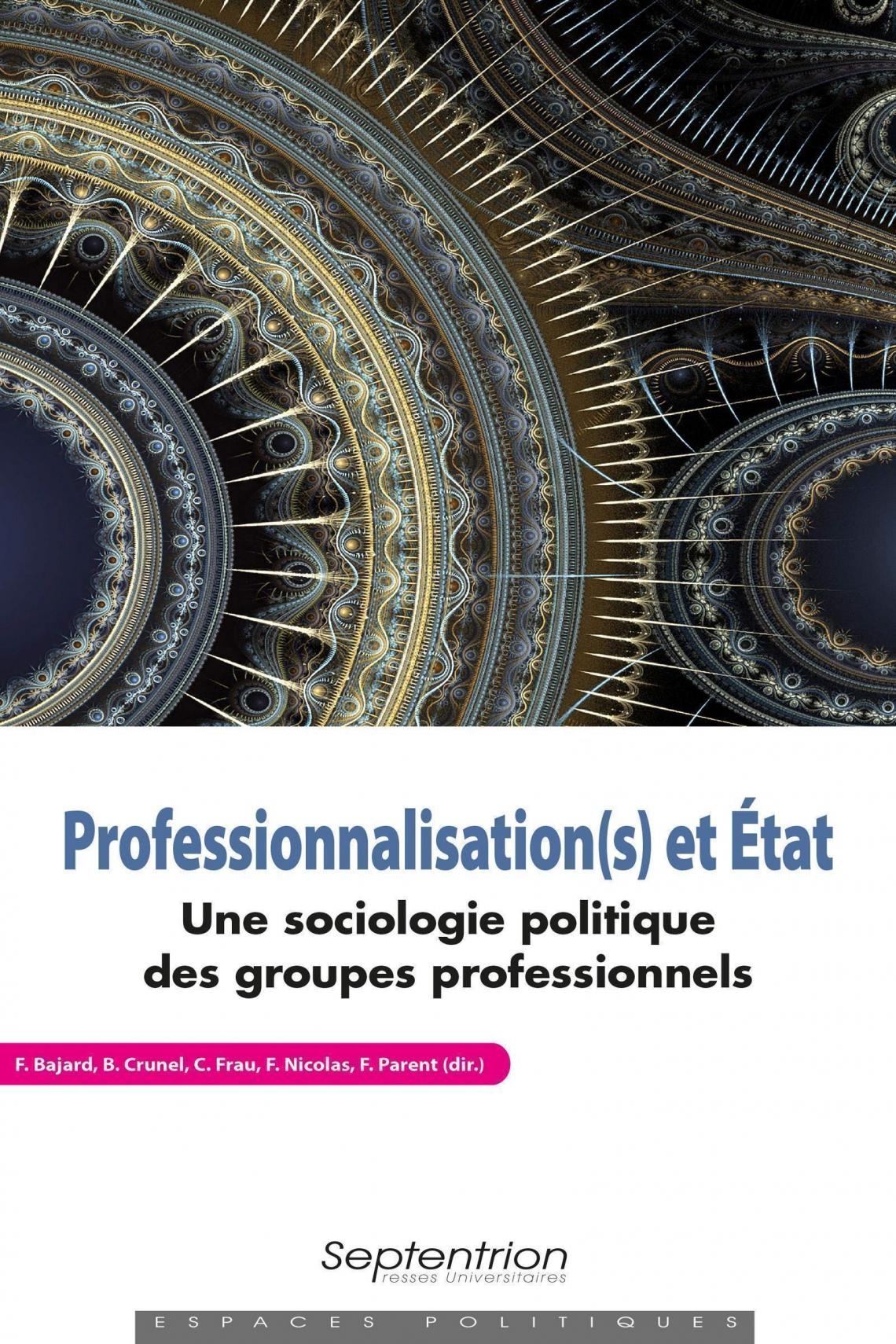 Professionnalisation(s) et État