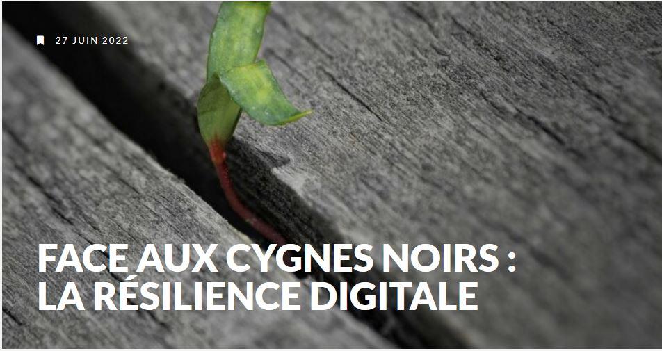 Jean-Julien Dupin, Amandine Pascal & Cécile Godé. 2022. Face aux cygnes noirs : la résilience digitale. Management et Datascience, 6(2) (https://doi.org/10.36863/mds.a.20378).