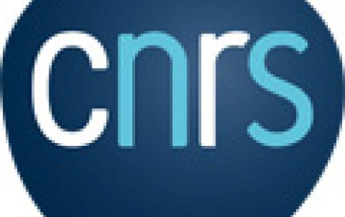 CNRS : Concours Chercheur.e.s 2020