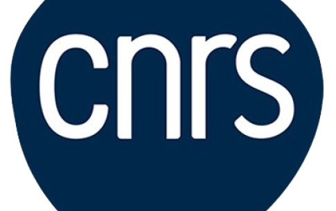 Concours  chercheur·euses CNRS 2024. Le LEST soutient votre projet