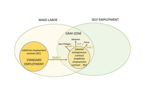 A “Hijacked Salaried Status” in French Cooperatives of Freelance Workers: The Political Meaning of Shifts Between Standard and Non-standard Employment