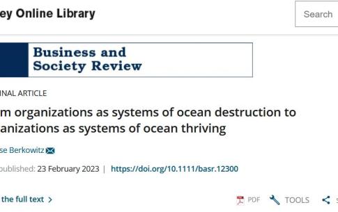 From organizations as systems of ocean destruction to organizations as systems of ocean thriving